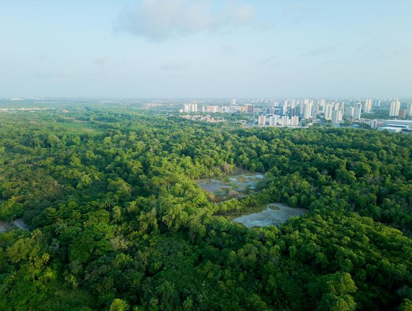 Analyse des Indicateurs Financiers dans le Secteur de la Santé : Votre Guide Indispensable pour Comprendre les Entreprises Médicales