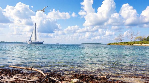 Top 10 activités nautiques : bateaux et pêche différente